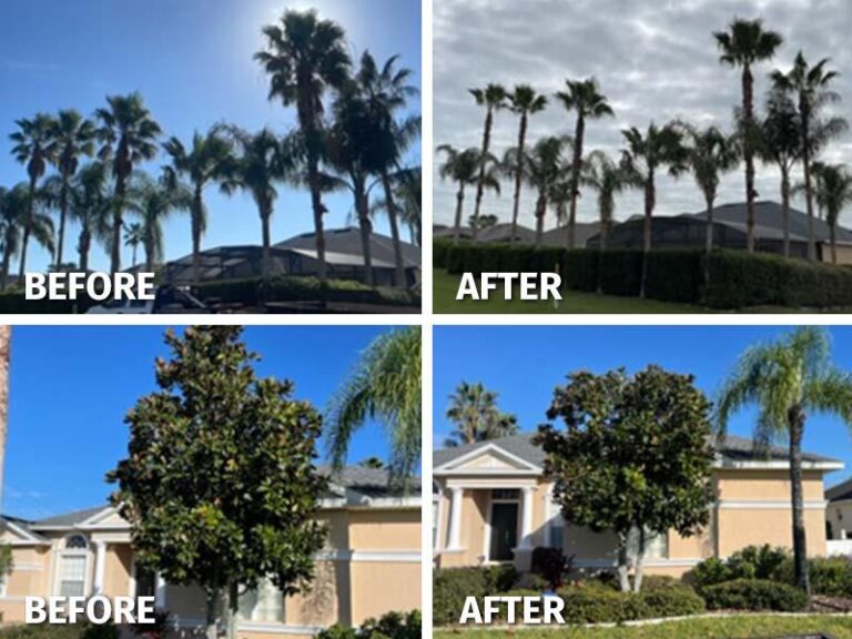 1EA223055A6E107E52FCA19CD8D8A652